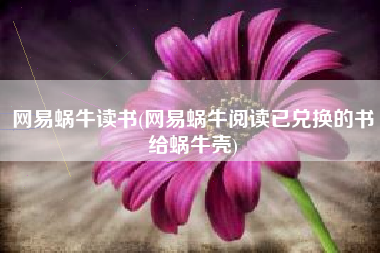 网易蜗牛读书(网易蜗牛阅读已兑换的书给蜗牛壳)