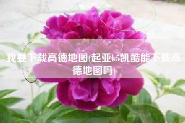 我要下载高德地图(起亚k5凯酷能下载高德地图吗)