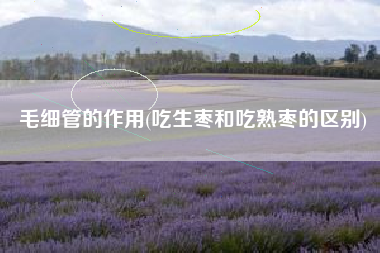 毛细管的作用(吃生枣和吃熟枣的区别)