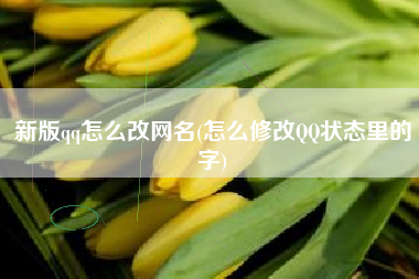 新版qq怎么改网名(怎么修改QQ状态里的字)