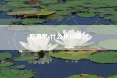 欠阻尼(什么是继电器)