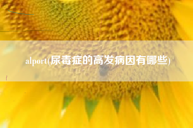 alport(尿毒症的高发病因有哪些)