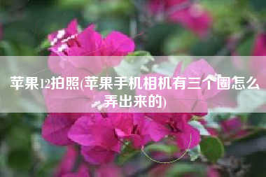 苹果12拍照(苹果手机相机有三个圈怎么弄出来的)