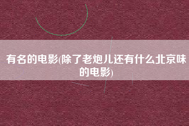 有名的电影(除了老炮儿还有什么北京味的电影)
