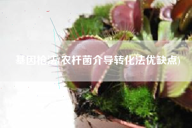 基因枪法(农杆菌介导转化法优缺点)