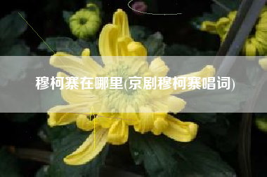 穆柯寨在哪里(京剧穆柯寨唱词)