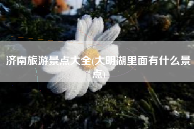 济南旅游景点大全(大明湖里面有什么景点)