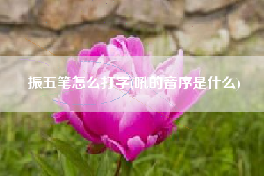 振五笔怎么打字(吼的音序是什么)