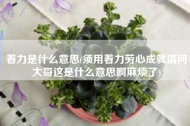 着力是什么意思(须用着力劳心成就请问大哥这是什么意思啊麻烦了)