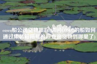 详细阅读:cosco船公司货物跟踪(请问COSCO的船如何通过集装箱箱号追踪查询货物到哪里了) cosco船公司货物跟踪(请问COSCO的船如何通过集装箱箱号追踪查询货物到哪里了)