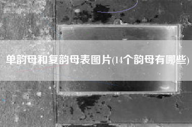 单韵母和复韵母表图片(14个韵母有哪些)