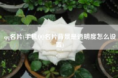 qq名片(手机QQ名片背景是透明度怎么设置)