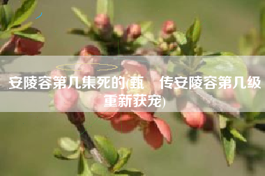 详细阅读:安陵容第几集死的(甄嬛传安陵容第几级重新获宠) 安陵容第几集死的(甄嬛传安陵容第几级重新获宠)