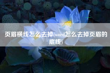 页眉横线怎么去掉(word怎么去掉页眉的底线)