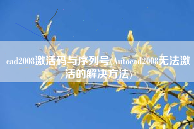 cad2008激活码与序列号(Autocad2008无法激活的解决方法)