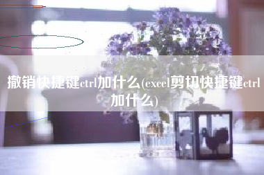 撤销快捷键ctrl加什么(excel剪切快捷键ctrl加什么)