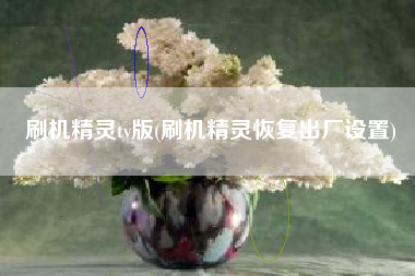 刷机精灵tv版(刷机精灵恢复出厂设置)