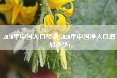 2050年中国人口预测(2020年中国净人口增加多少)