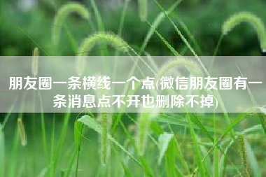 朋友圈一条横线一个点(微信朋友圈有一条消息点不开也删除不掉)