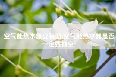 空气能热水器安装图(空气能热水器是否一定要抽空)
