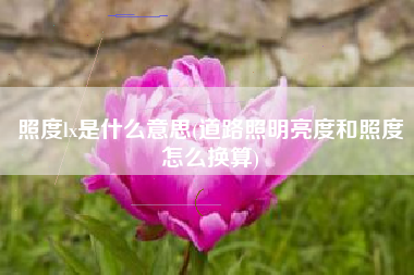 照度lx是什么意思(道路照明亮度和照度怎么换算)