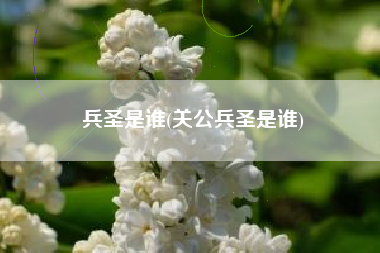 兵圣是谁(关公兵圣是谁)