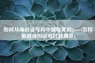 如何从身份证号码中提取年龄(excel怎样根据身份证号计算周岁)
