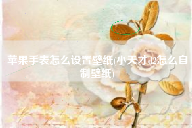 苹果手表怎么设置壁纸(小天才d2怎么自制壁纸)