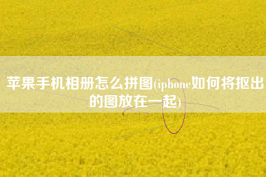 苹果手机相册怎么拼图(iphone如何将抠出的图放在一起)