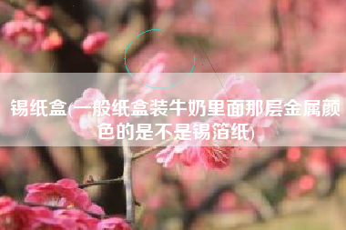 锡纸盒(一般纸盒装牛奶里面那层金属颜色的是不是锡箔纸)