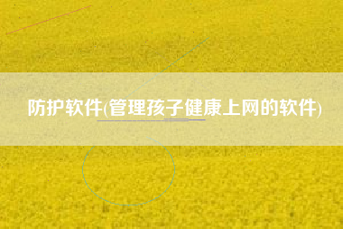 防护软件(管理孩子健康上网的软件)