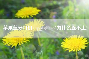 苹果蓝牙耳机airpods(Reno2为什么连不上)