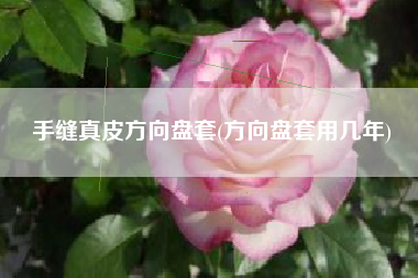 手缝真皮方向盘套(方向盘套用几年)