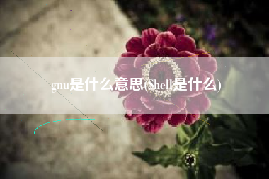 gnu是什么意思(Shell是什么)