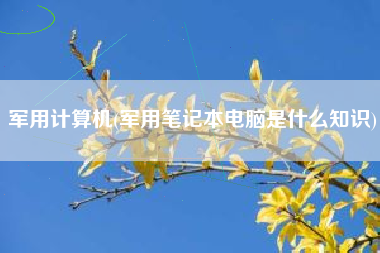 军用计算机(军用笔记本电脑是什么知识)