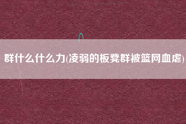 群什么什么力(凌弱的板凳群被篮网血虐)
