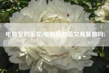 电脑室的英文(电脑房的英文有复数吗)