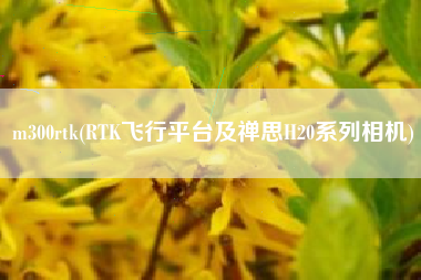 m300rtk(RTK飞行平台及禅思H20系列相机)