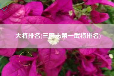 详细阅读:大将排名(三国志第一武将排名) 大将排名(三国志第一武将排名)