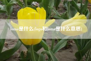 lomo是什么(logo和lomo是什么意思)
