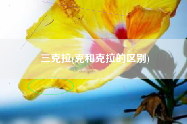 三克拉(克和克拉的区别)