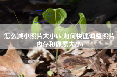 怎么减小照片大小kb(如何快速调整照片内存和像素大小)