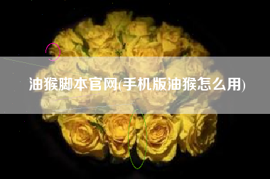 油猴脚本官网(手机版油猴怎么用)