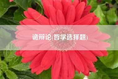 诡辩论(哲学选择题)