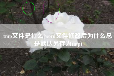 tmp文件是什么(word文件修改后为什么总是默认另存为tmp)