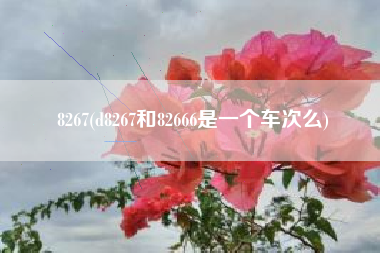 8267(d8267和82666是一个车次么)