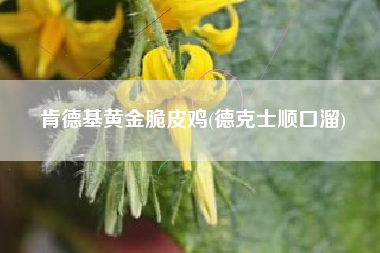 详细阅读:肯德基黄金脆皮鸡(德克士顺口溜) 肯德基黄金脆皮鸡(德克士顺口溜)