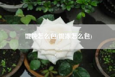 馄饨怎么包(馄冻怎么包)