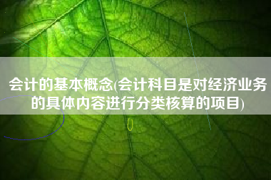 会计的基本概念(会计科目是对经济业务的具体内容进行分类核算的项目)