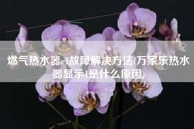 燃气热水器e1故障解决方法(万家乐热水器显示1是什么原因)